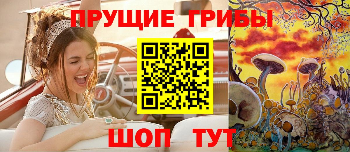 Псилоцибиновые грибы Cubensis Нововоронеж