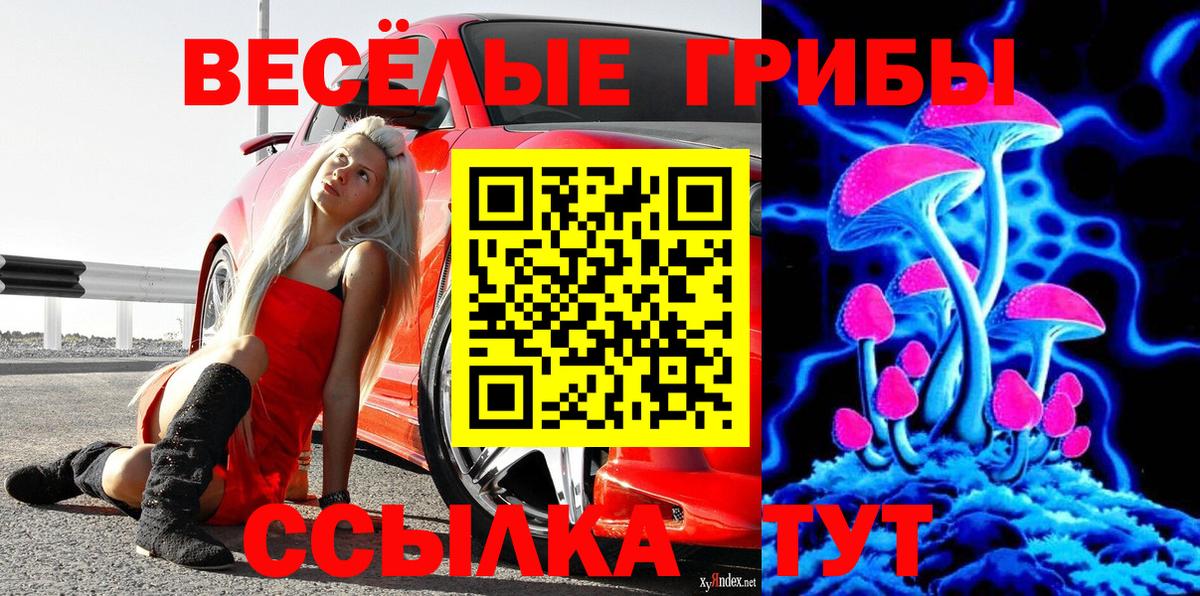 наркота  Псилоцибиновые грибы ЛСД  Нововоронеж  Вход с VPN  Галлюциногенные грибы Psilocybe 